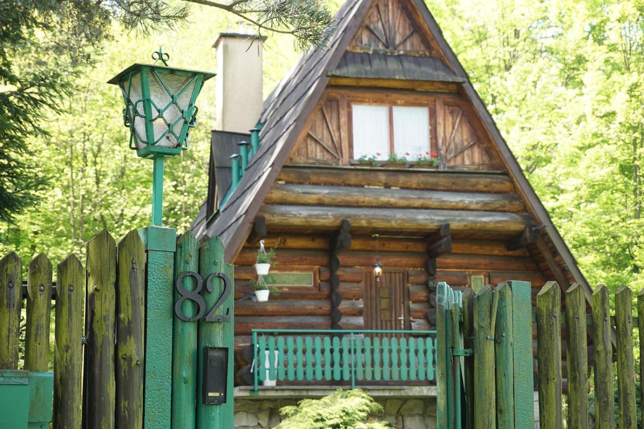 Kosarzowka Villa Bielsko-Biala Exterior photo