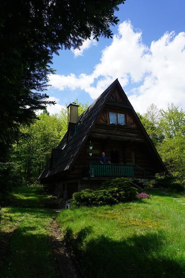 Kosarzowka Villa Bielsko-Biala Exterior photo